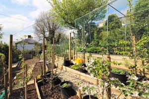 Rear Garden- click for photo gallery
